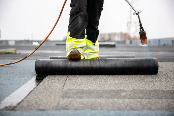Best Roof Insulation Installation  in Rexland Acres, CA